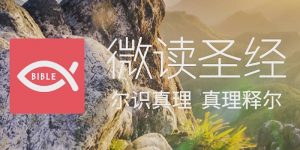 微读圣经手机软件